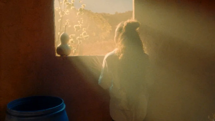 la terre étrangère