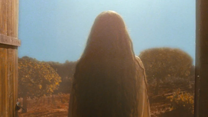 la terre étrangère