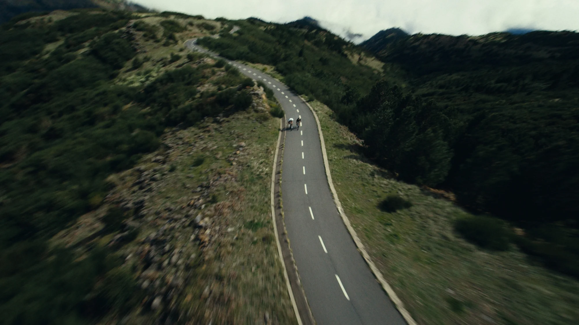 oakley 26 - bike collection